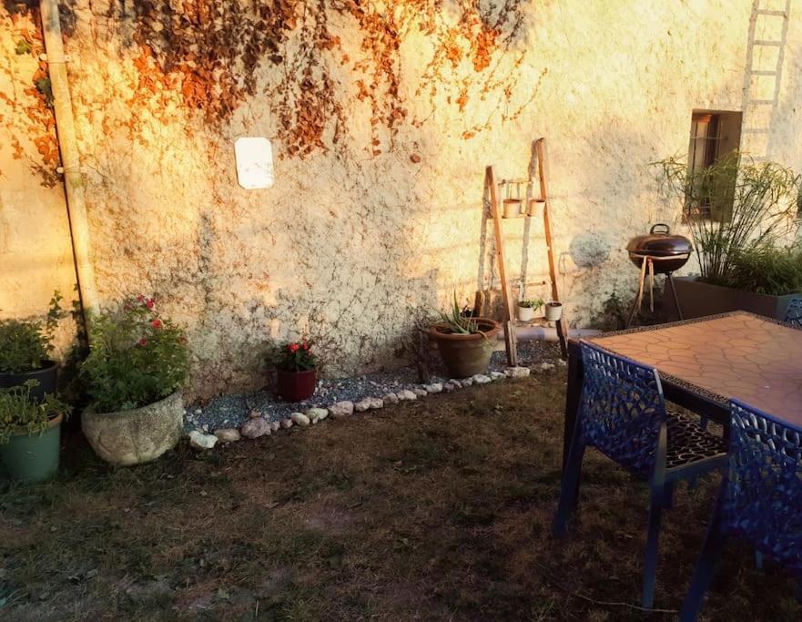 Gite A La Ferme Chaleureux Lägenhet Civrac-de-Blaye Exteriör bild